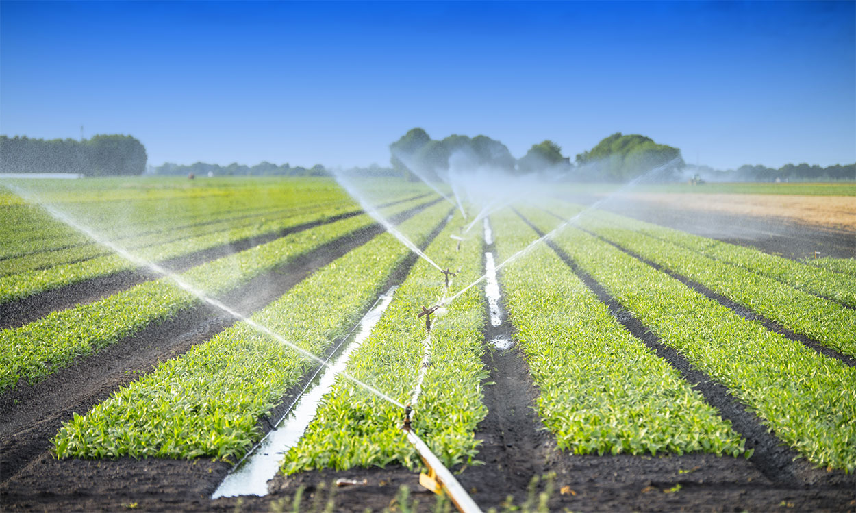 Municipal, drainage, construction, river dredging, farmland irrigation and other fields